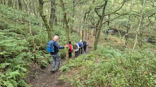 Heading down the woodland path