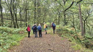 Another view of the group on the woodland path