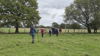 Heading across the fields to Brierley Green
