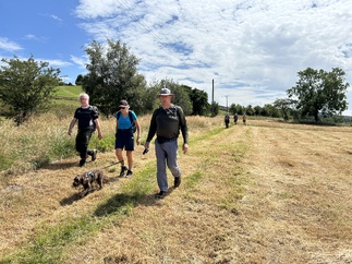 It's a glorious day for walking